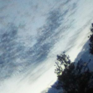 Meet your Posher, Shaunna